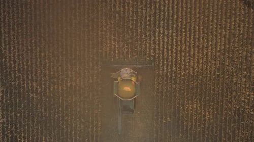 Aerial scene of a combine harvester tackling endless rows of corn.
