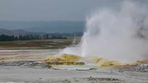 Während eines Ausbruchs im Lower Geysir Basin in Yello sprudeln Wasser und Dampf aus dem Clepsydra-Geysir