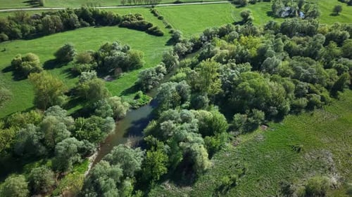 Eine Luftdrohnenperspektive eines schmalen, gewundenen Flusses, der sich durch einen leuchtend grünen Wald schlängelt, und