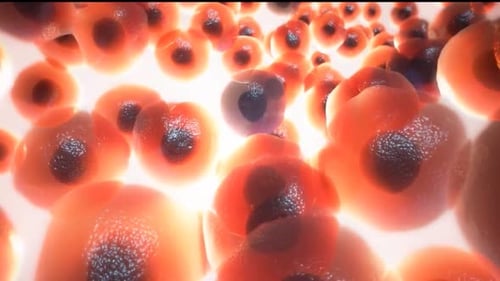 Animated Glowing Biological Cells Background