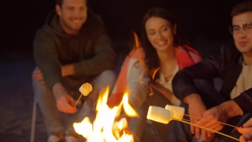 Leisure and People Concept - Group of Friends Sitting at Camp Fire