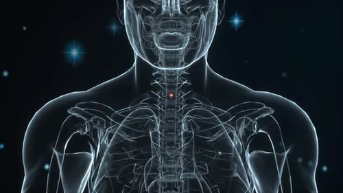 Human medical figure with sore throat 4k video.