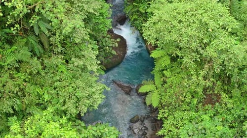 Turquoise River Flowing Through Lush Green Rainforest