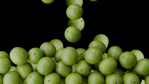Realistic Falling Limes Transition with Green Citrus Fruit