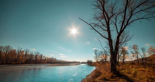 Mountain River Timelapse at the Summer or Autumn Day Time Wild Nature Clear Blue Water and Dry Trees