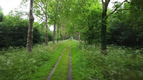 Following a road by drone, covered by trees around, France