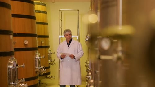 Vigneron professionnel contrôlant le processus de fabrication et la qualité du vin dans une usine vinicole