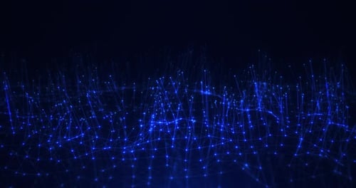 Dynamic Point Cloud Network Field Animation