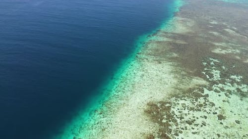 Luftaufnahme eines Korallenriffs im Meer