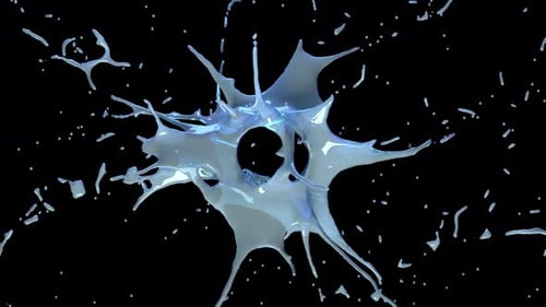 Fluid Splash Reveal Organic Transition Element