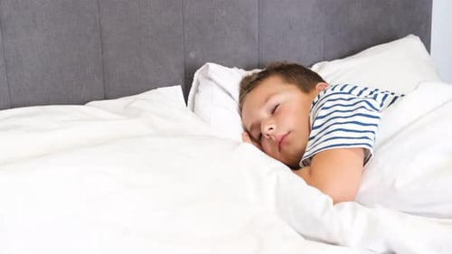 Boy Sleeping Peacefully in Bed at Home