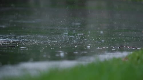 Nahaufnahme von Sommerregentropfen auf der Straße
