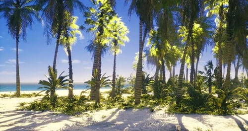Lush Palm Trees on a Tropical Beach Under a Clear Blue Sky