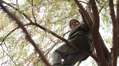 Kleiner Junge klettert im Herbst auf einen Baum: Niedrigwinkelaufnahme eines Jungen, der auf einen Baum klettert