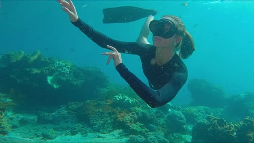 Woman Freediver Enjoys Swimming on the Reef Young Female Freediver Swims Underwater and Explores the