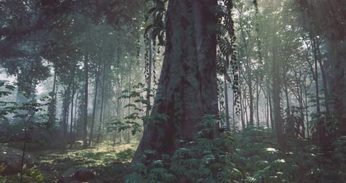 Majestic Forest with Sunlight Filtering Through Vibrant Foliage