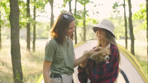 Two Close Friends Together with Their Funny Chihuahua Dog Communicate at Sunset at a Campsite in a