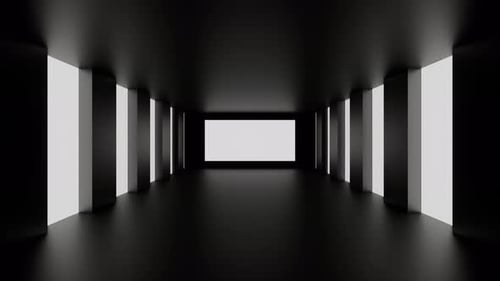 Endless Black and White Tunnel DJ VJ Loop