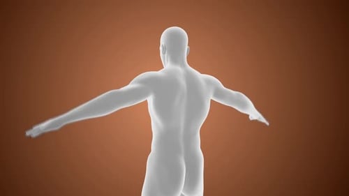3D Animated Human Body Scan with Glowing Pain Points