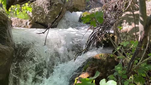 Closeup of a Waterfall Flowing Over Rocks and Forest Thickets