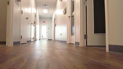 Slow motion of an office hallway.