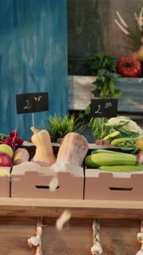 Vertical Video Food Fair with Farmers Market Stand to Sell Organic Produce
