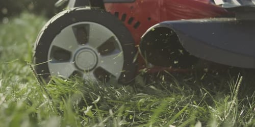 Couper le gazon avec une tondeuse à gazon électrique