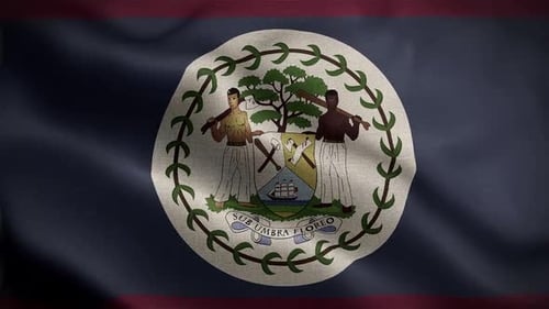 Belize National Flag Waving with Realistic Fabric Motion