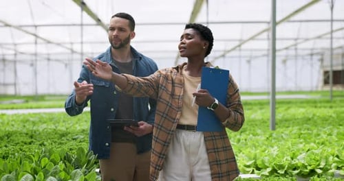 Man, woman and pointing for plants in greenhouse on walk with discussion, checklist and clipboard
