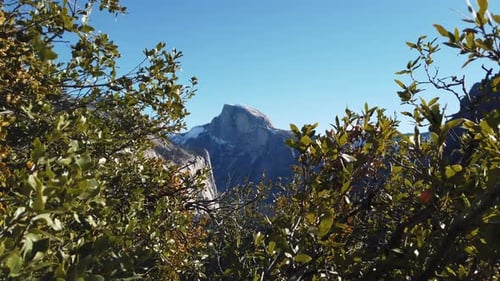 Yosemite mountains in the distance through the boughs of trees in the foreground.