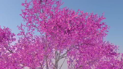 Pink Tree Background Loop