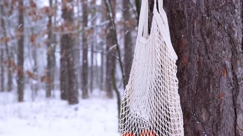 Bolsa de compras de malla con mandarinas en un bosque nevado de invierno al aire libre Go Green Concept