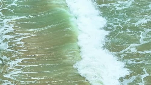 The ocean's waves crash gently on the warm sandy beach.