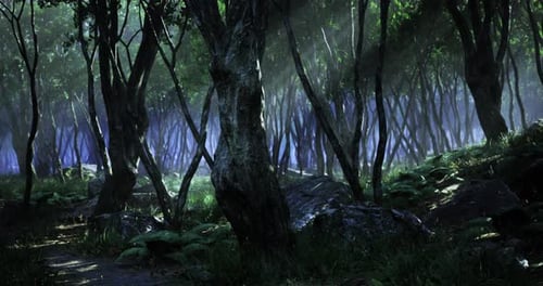 Mysterious Forest with Dense Trees and Misty Atmosphere in Twilight