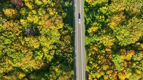 Two cars driving on a straight road through a dense forest, aerial view emphasizing symmetry and aut