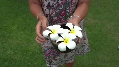Woman is standing on the grass and she keeps on her hands a cap with white Plumeria Hawaiian flowers