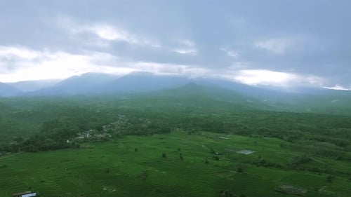 Wunderschöner Blick auf den Morgen, Indonesien, Panoramalandschaft, Wald mit Schönheit, Farbe und Himmel, natürlichem Licht