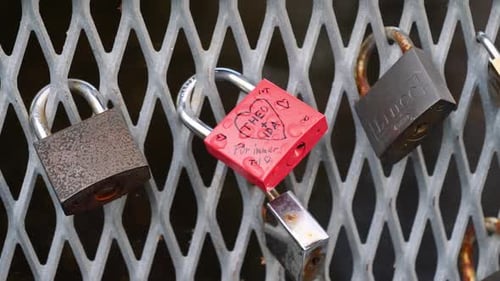 Close up or detail shot of three locks hanging on a fence.