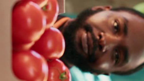 Vertical Video Young Man Stand Holder Presenting Box of Tomatoes to People