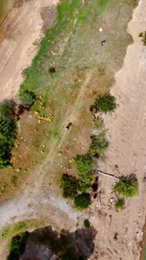 Aerial View of a Tropical Lake Shore