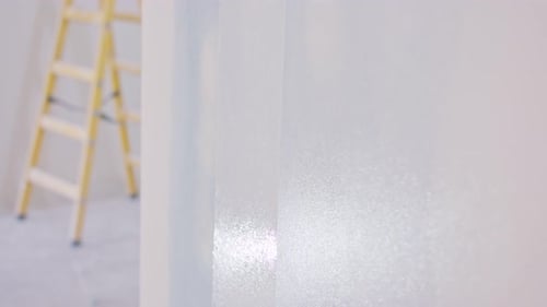 Painting a White Wall with a Paint Roller