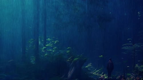Rain Falls In The Jungle, Adventure In The Deep Forest On A Murky Rainy Night