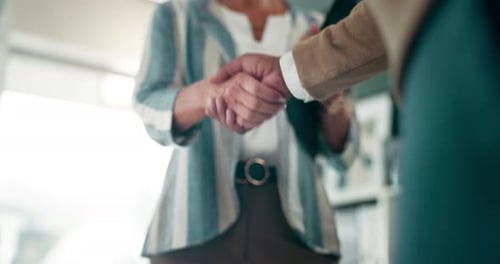 Business people, handshake and meeting with partnership for hiring, agreement or deal at office