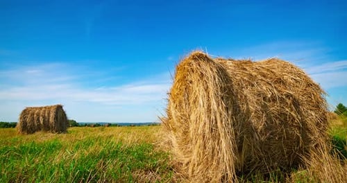 Golden Hay Bales in a Sunny Field