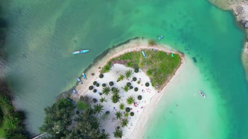 Tropical beach.