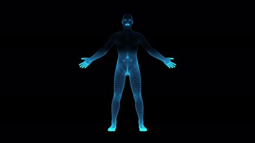 Rotating Blue Wireframe Human Body Hologram Animation