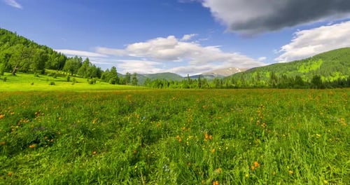 Mountain Meadow Timelapse at the Summer or Autumn Time Wild Nature and Rural Field Clouds Movement