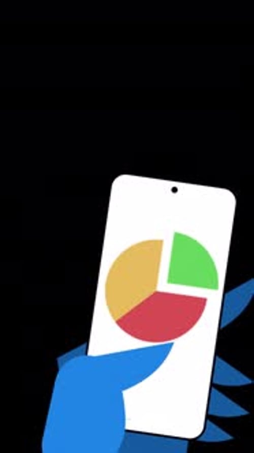 Flat Design Financial Data App Animation