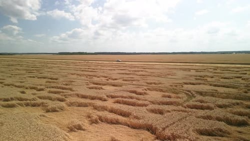 Wheat field aerial view in Ukraine