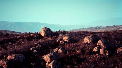 Rugged Landscape with Large Boulders and Gentle Hills at Sunset